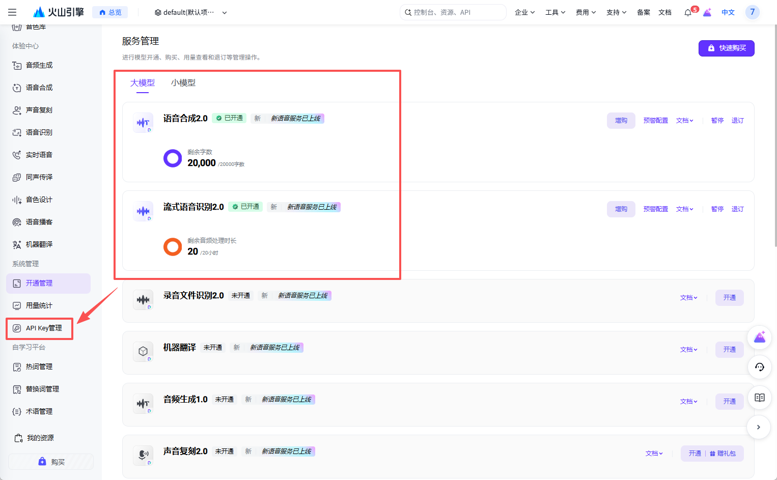 进入 API Key 管理